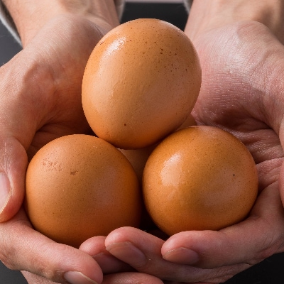 ã倧éªã»é¢è¥¿äžååºå±ãå
ç¥ãã£ãµã·ããã«ã©ã¡ã«ãœãŒã¹ã12åã»ãããé
éäžå¯å°åïŒé¢å³¶ãã1226699ã