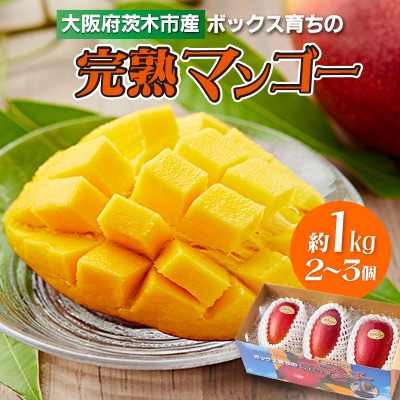 大阪茨木 小川農園の《贈答用》完熟マンゴー約1kg〈2〜3個入〉【R8年7月中旬発送開始】【配送不可地域：離島】【1229124】