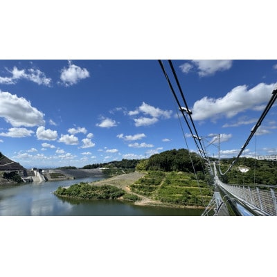 【GRAVITATE OSAKA】ブリッジスイング+入園・吊り橋&飲食クーポン券(1名様分)【1659626】