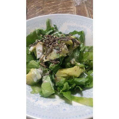 【2ヵ月毎定期便】塩昆布(乾燥)いそ松葉 200g×2セット全6回【4000921】