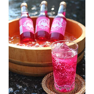 赤しそサイダー　　250ml　×12本【配送不可地域：離島】【1004051】