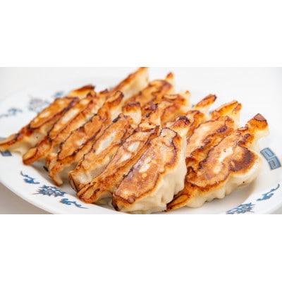 【大阪産(もん)名品】雁飯店の生餃子(冷凍)96個餃子(たれなし)【配送不可地域：離島】【1369738】