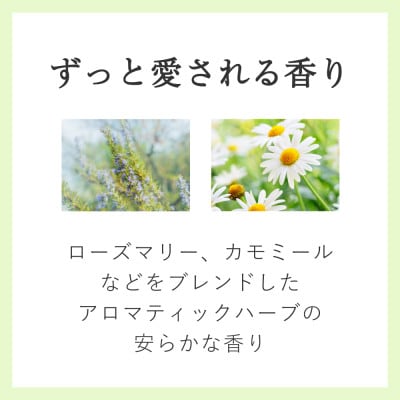 AYURA(ã¢ãŠãŒã©) ã¡ãã£ããŒã·ã§ã³ãã¹t 12æ¬ã1591977ã