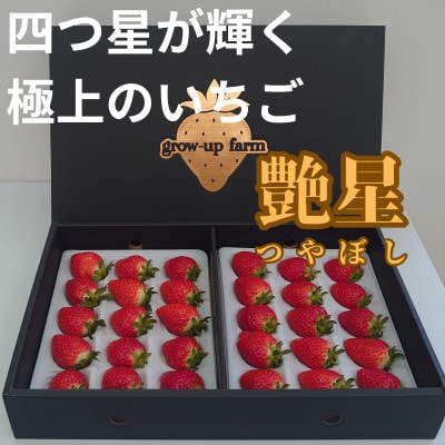 艶星(イチゴ)約700g〜約800g「甘味、酸味、風味、旨味」四つ星級に美味!採れたてをお届けします【配送不可地域：離島】【1651647】