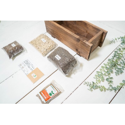 みどりのリボーン　菜園セット/ラディッシュ【1271165】