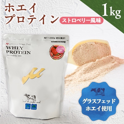 プロテイン100　ワイルドフィット　ストロベリー風味【1582770】