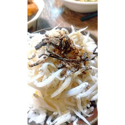 【2ヵ月毎定期便】塩昆布(乾燥)いそ松葉 200g×2セット全6回【4000921】