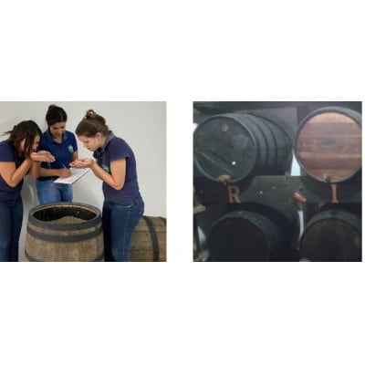 ãã«ãŒããŠã³ãã³No1ããŒããã¬ã³ããšãŠã£ã¹ããŒæšœçæãã¬ã«ãšã€ãžã èš400gã1677353ã