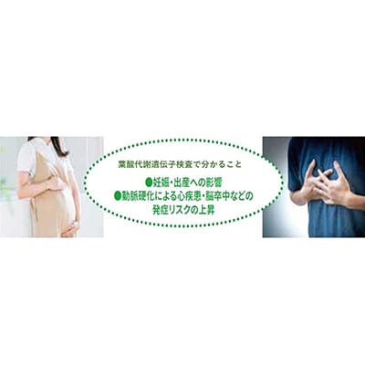 èé
žä»£è¬éºäŒåæ€æ»ãããã1533148ã