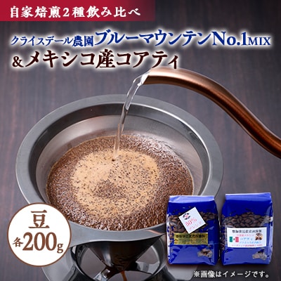 自家焙煎ブルーマウンテンNo1クライスデール農園ハーフブレンドとメキシコ産コアティー各200g【1629901】