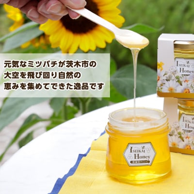 å»èª äŒãããŒ(ã¹ããŠãããŠã)&ãã£ã³ãã£è©°åãã1601787ã