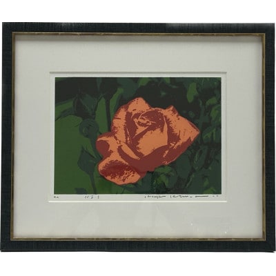 木村光佑-バラ-【1658435】