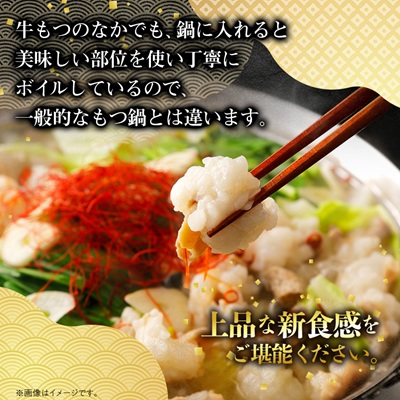 【のし付き】焼肉薩摩 特製もつ鍋(5〜6人前)【配送不可地域：離島】【1042975】