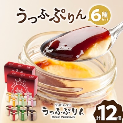 うっふぷりん6種セット　12個入【配送不可地域：離島】【1259527】
