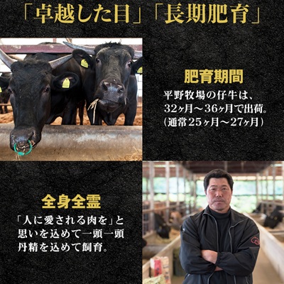【のし付き】特選和牛〈焼肉薩摩 完熟平野幸一之牛〉ハンバーグ10個【配送不可地域：離島】【1042958】
