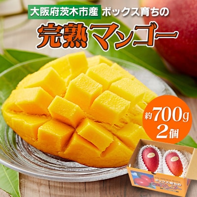 大阪茨木 小川農園の《贈答用》完熟マンゴー約700g〈2個入〉【R8年7月中旬発送開始】【配送不可地域：離島】【1231455】