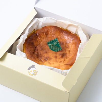 èšæšãã¹ã¯ããŒãºã±ãŒããããŒã«ããã¬ãŒã³2åãããé
éäžå¯å°åïŒé¢å³¶ãã1436369ã