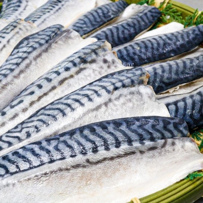 【骨取り】無添加トロさばフィーレ 無塩 5切(約550g)【配送不可地域：離島】【1697849】