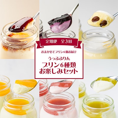 【発送月固定定期便】うっふぷりんのプリン6種類お楽しみセット全3回【配送不可地域：離島】【4011325】