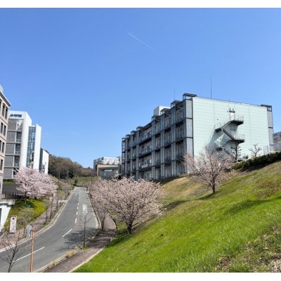 Direct Alanine(D-ã¢ããé
žã»L-ã¢ããé
žå«æé£å) 60ã¹ãã£ã㯠2ç®±ã1651720ã