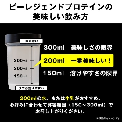 ビーレジェンド WPCプロテイン 激うまチョコ風味 1kg【1583791】