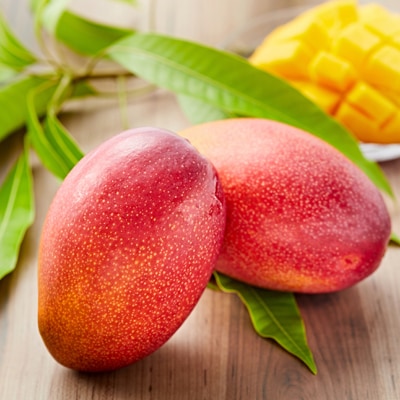 大阪茨木 小川農園の《贈答用》完熟マンゴー約1kg〈2〜3個入〉【R8年7月中旬発送開始】【配送不可地域：離島】【1229124】