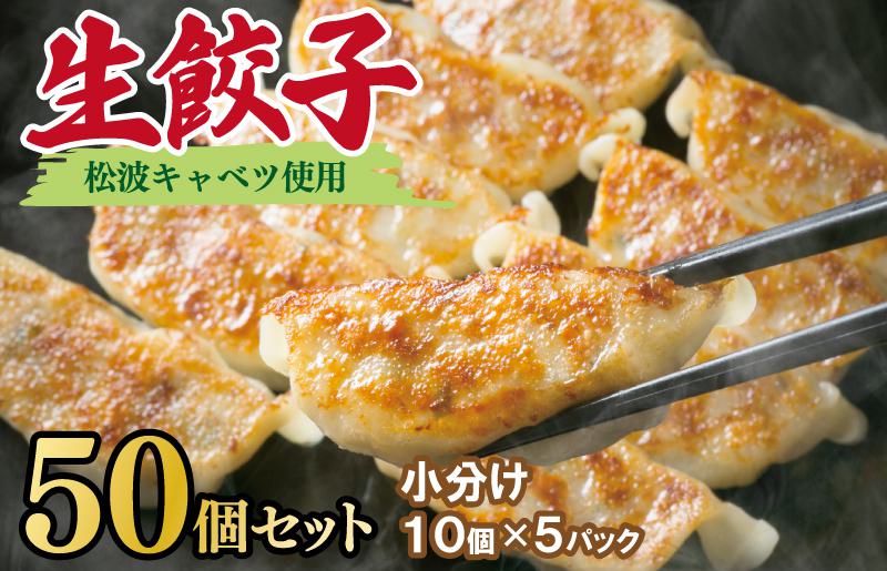 【期間限定】生餃子 50個セット【小分け 10パック 甘いと評判 松波キャベツ使用 冷凍餃子 焼くだけ 人気 惣菜】 010B1538