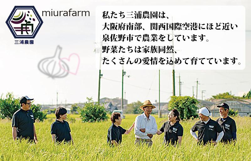 ãå
è¡äºçŽã æ°ééå® å¹»ã®ããŸãã æ³å·é»çãã 10kgãæ°é®® éè æ³äœéç£ èå ããã é«è©äŸ¡ æ°ééå®ã