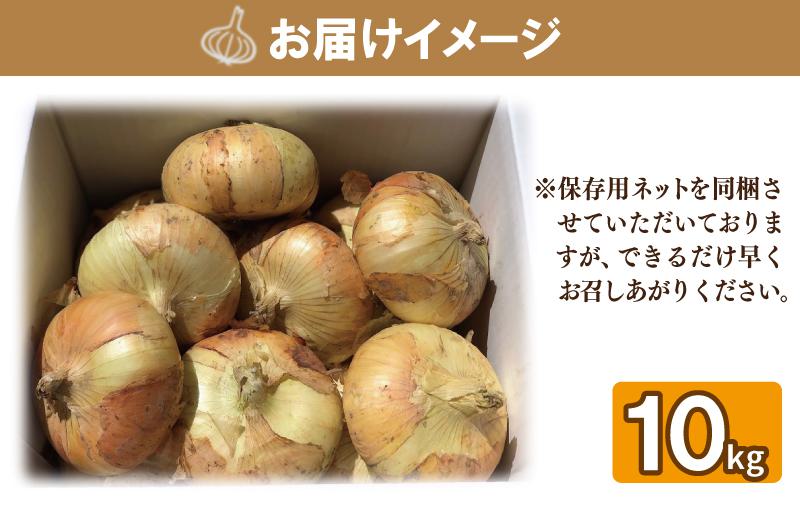 ãå
è¡äºçŽã æ°ééå® å¹»ã®ããŸãã æ³å·é»çãã 10kgãæ°é®® éè æ³äœéç£ èå ããã é«è©äŸ¡ æ°ééå®ã