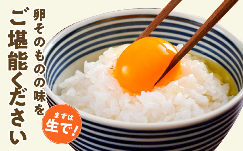 戸野さん家のこだわりタマゴ 30個 Mサイズ【卵 たまご 国産 濃厚 とことん餌にこだわった とのたま】