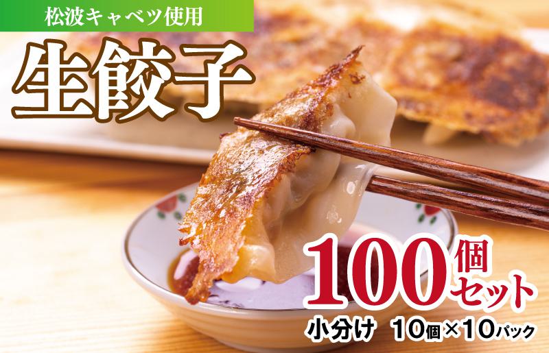 【期間限定】生餃子 100個セット【小分け 10パック 甘いと評判 松波キャベツ使用 冷凍餃子 焼くだけ 人気 惣菜】 099H3170