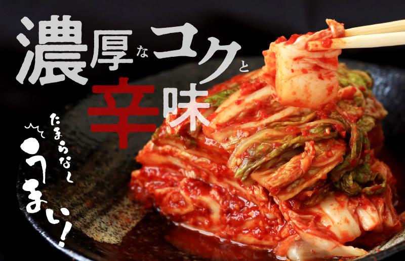 【リピーター続出！】白菜キムチ 1kg【新鮮野菜 高評価 人気 惣菜 きむち 漬物 韓国グルメ おつまみ 家計応援】