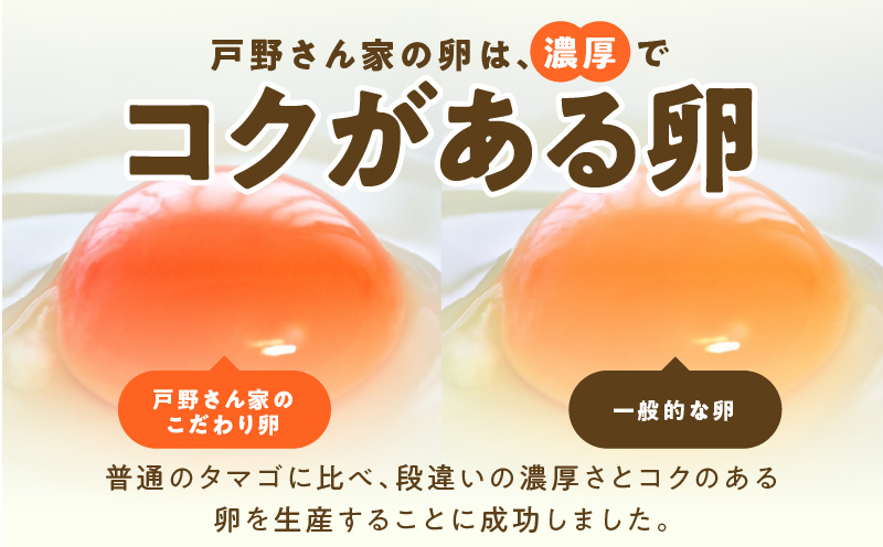 【定期便】とことん餌にこだわった “戸野さん家のこだわりタマゴ” とのたま (計90個・30個×全3回）【毎月配送コース】 099Z162