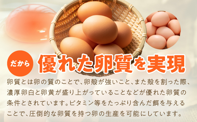 【定期便】とことん餌にこだわった “戸野さん家のこだわりタマゴ” とのたま (計90個・30個×全3回）【毎月配送コース】 099Z162