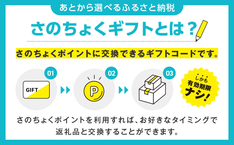 あとから選べる！カタログギフト（寄附10,000円コース）約3,000品掲載 大阪府泉佐野市【さのちょくギフト あとからセレクト 肉 牛たん ビール 酒 かに サーモン 米 野菜 定期便 魚介 海産物 おせち うなぎ 日用品 タオル ゴルフなど】 sn021