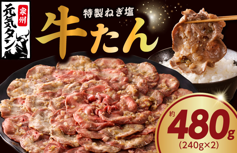 ねぎ塩 牛たん 480g 小分け 240g×2【牛タン 牛肉 焼肉用 薄切り 訳あり サイズ不揃い】 010B1527