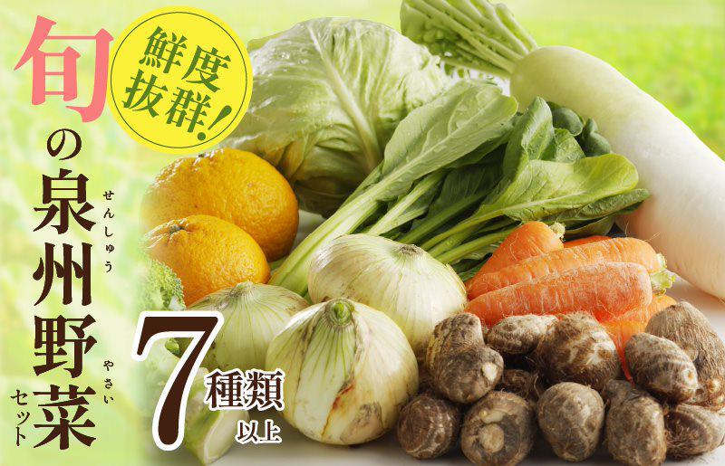 旬の野菜セット 詰め合わせ 7種類以上 国産 新鮮 お試し おまかせ お楽しみ 005A443