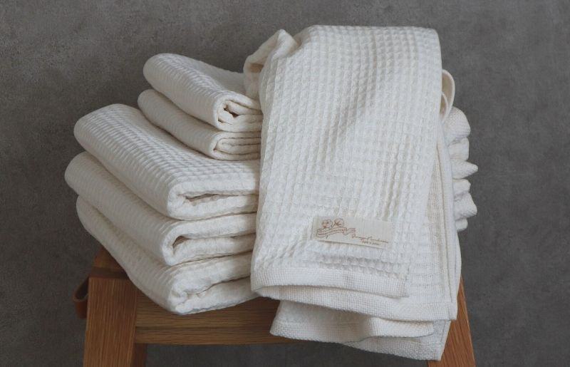 ããªãŒã¬ããã¯ã³ããã³100ïŒ
ãæ³å·åéšç¹ ãµãããã¯ããã«ã¿ãªã« 6æã»ãã