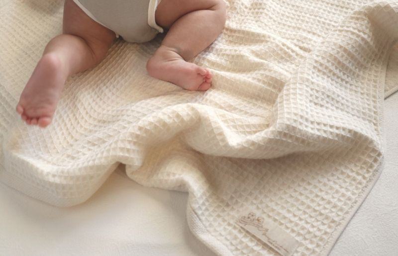 ããªãŒã¬ããã¯ã³ããã³100ïŒ
ãæ³å·åéšç¹ ãµãããã¯ããã«ã¿ãªã« 6æã»ãã