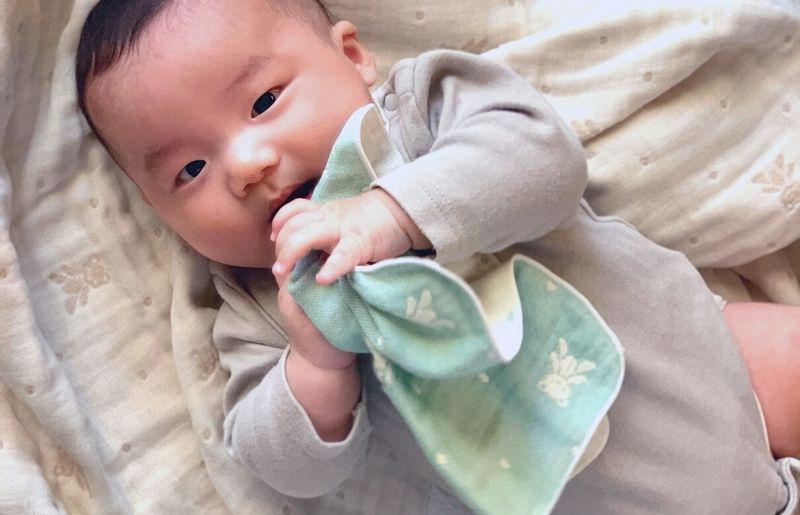 【babybear】多重ガーゼ  miniバスタオルタオル＆ハンカチ 4枚セット（ブルー）