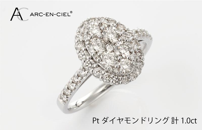 ARC-EN-CIEL プラチナ ダイヤリング（計 1.0ct）【鑑別書付き ジュエリー プレゼント ギフト ファッション アクセサリー 贈り物 贈答 お祝い 記念日】 J003-1