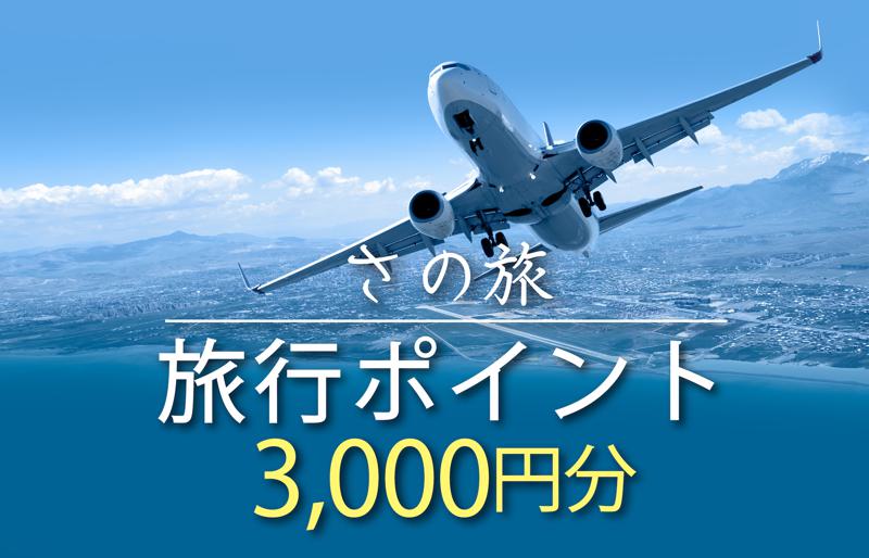 さの旅 旅行ポイント 3,000円分【宿泊 旅行 ホテル トラベル】 099V020