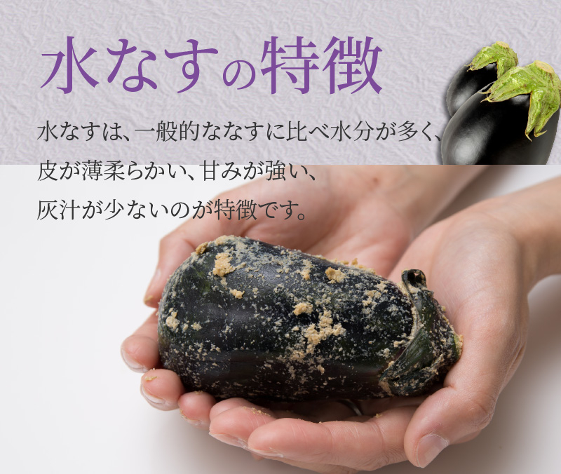 【先行予約】特選水なす浅漬け＆生なす 5個入り【食べ比べ 新鮮 野菜 泉佐野産 茄子 やさい 高評価 数量限定】