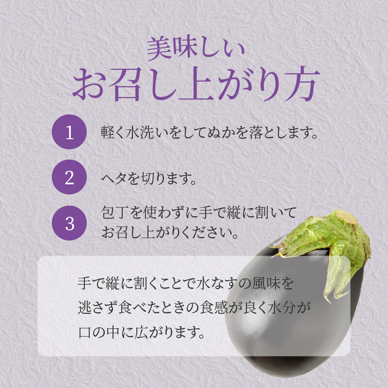 【先行予約】特選水なす浅漬け＆生なす 5個入り【食べ比べ 新鮮 野菜 泉佐野産 茄子 やさい 高評価 数量限定】