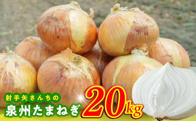 射手矢さんちの泉州たまねぎ 20kg【玉ねぎ タマネギ 玉葱 甘い 野菜 国産 訳あり サイズ不揃い 期間限定 オニオン スライス サラダ カレー シチュー バーベキュー BBQ 肉じゃが】 G1499