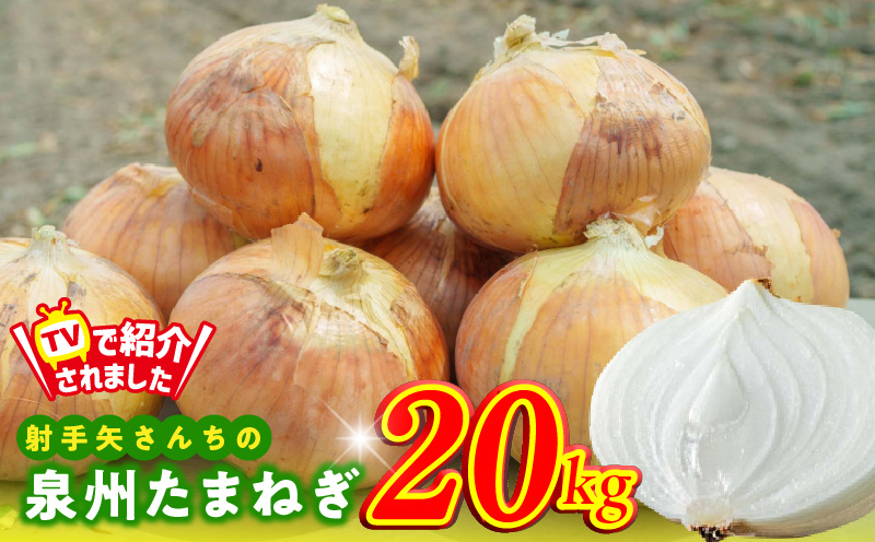 【TVで紹介！】射手矢さんちの泉州たまねぎ 20kg【玉ねぎ タマネギ 玉葱 甘い 野菜 国産 訳あり サイズ不揃い 期間限定 オニオン スライス サラダ カレー シチュー バーベキュー BBQ 肉じゃが】 G1499