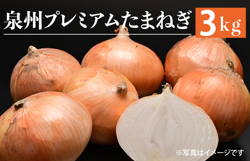 射手矢さんちの泉州プレミアムたまねぎ 3kg 【玉ねぎ タマネギ 玉葱 甘い 野菜 国産 訳あり サイズ不揃い 期間限定 オニオン スライス サラダ カレー シチュー バーベキュー BBQ 肉じゃが】 G1316