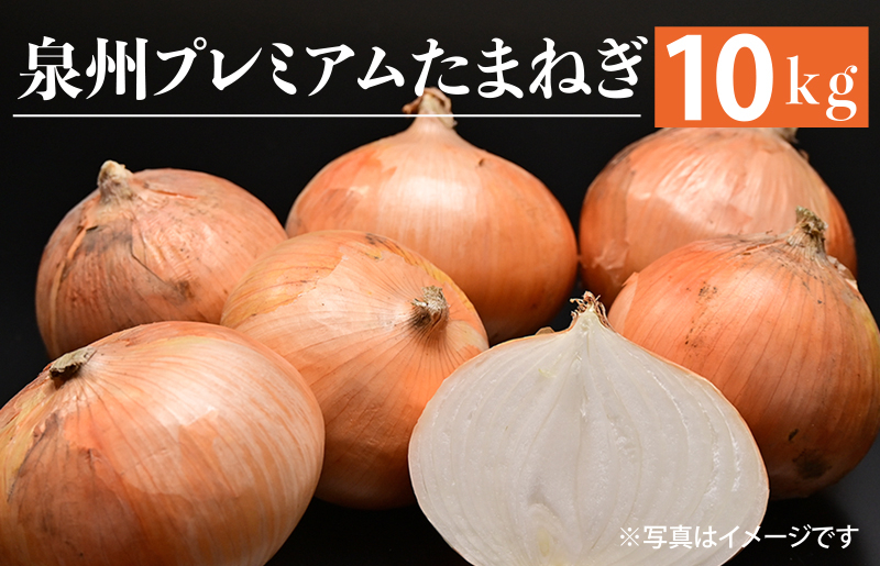 射手矢さんちの泉州プレミアムたまねぎ 10kg 【玉ねぎ タマネギ 玉葱 甘い 野菜 国産 訳あり サイズ不揃い 期間限定 オニオン スライス サラダ カレー シチュー バーベキュー BBQ 肉じゃが】 G1317