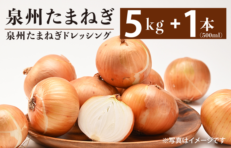 射手矢さんちの泉州たまねぎ 5kgとドレッシング 500ml×1本【玉ねぎ タマネギ 玉葱 甘い 野菜 国産 訳あり サイズ不揃い 期間限定 オニオン スライス サラダ カレー シチュー バーベキュー BBQ 肉じゃが】 G1302