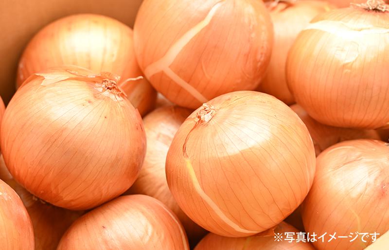 射手矢さんちの玉ねぎスープ 10食×6箱【玉ねぎ タマネギ 玉葱 射手矢農園】